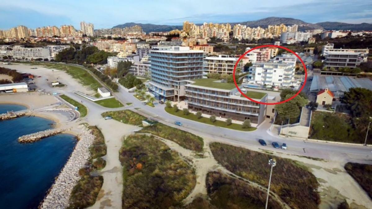 Kamelija