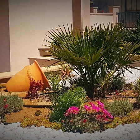 Apartments Kamelija Split Extérieur photo
