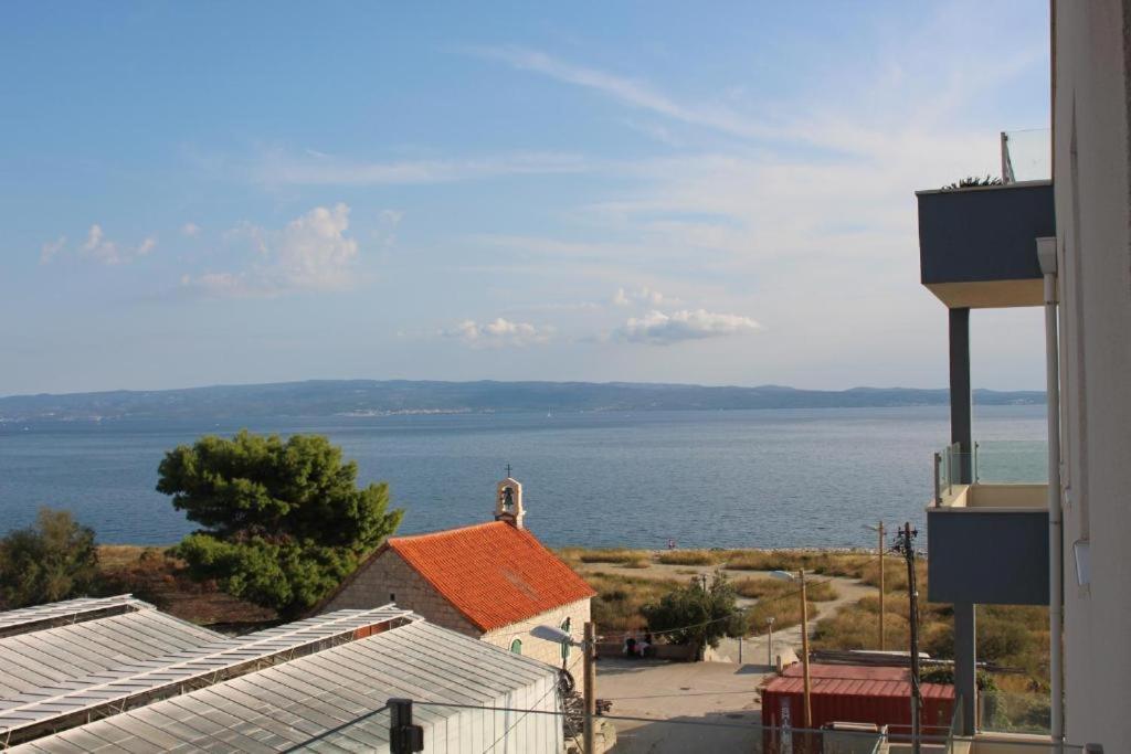 Kamelija