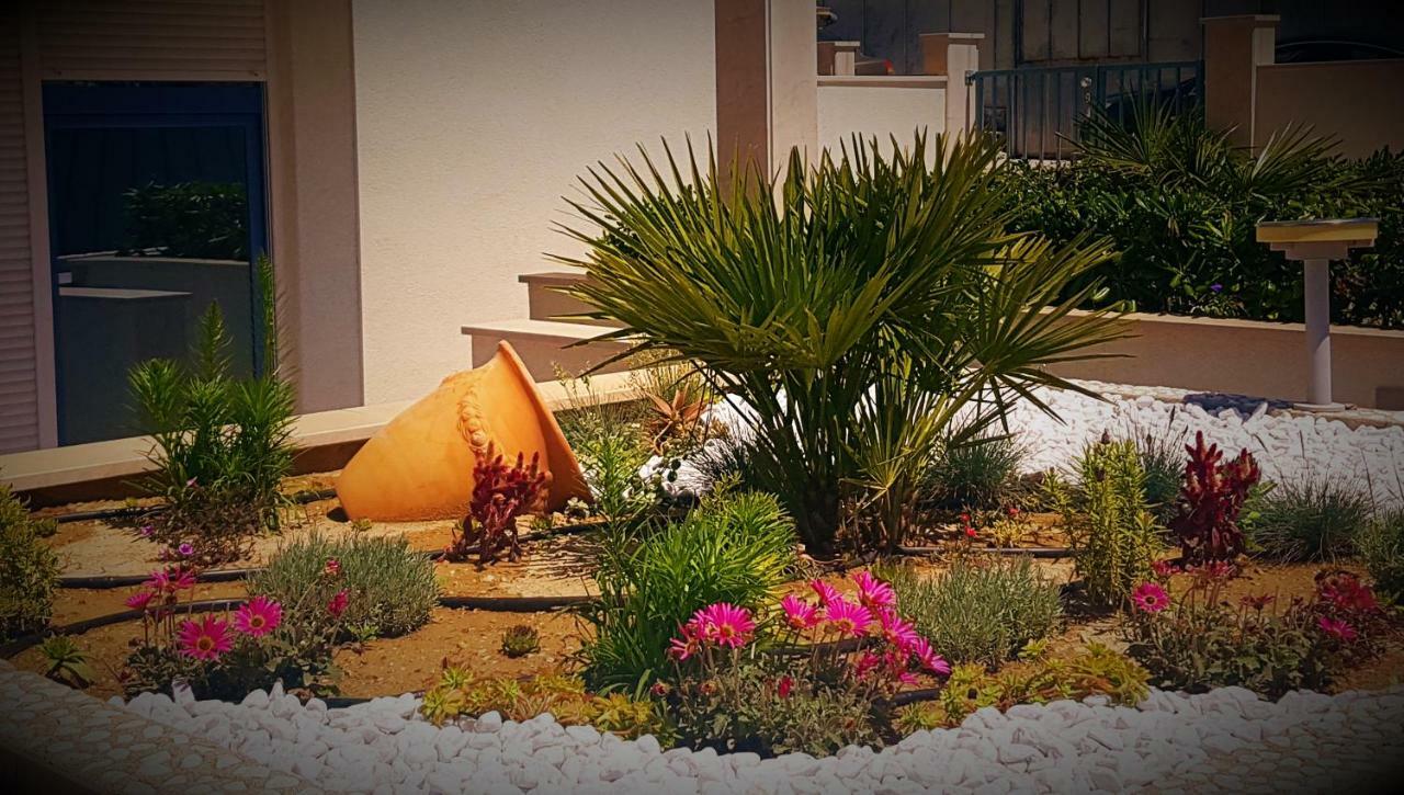 Apartmán Kamelija Split