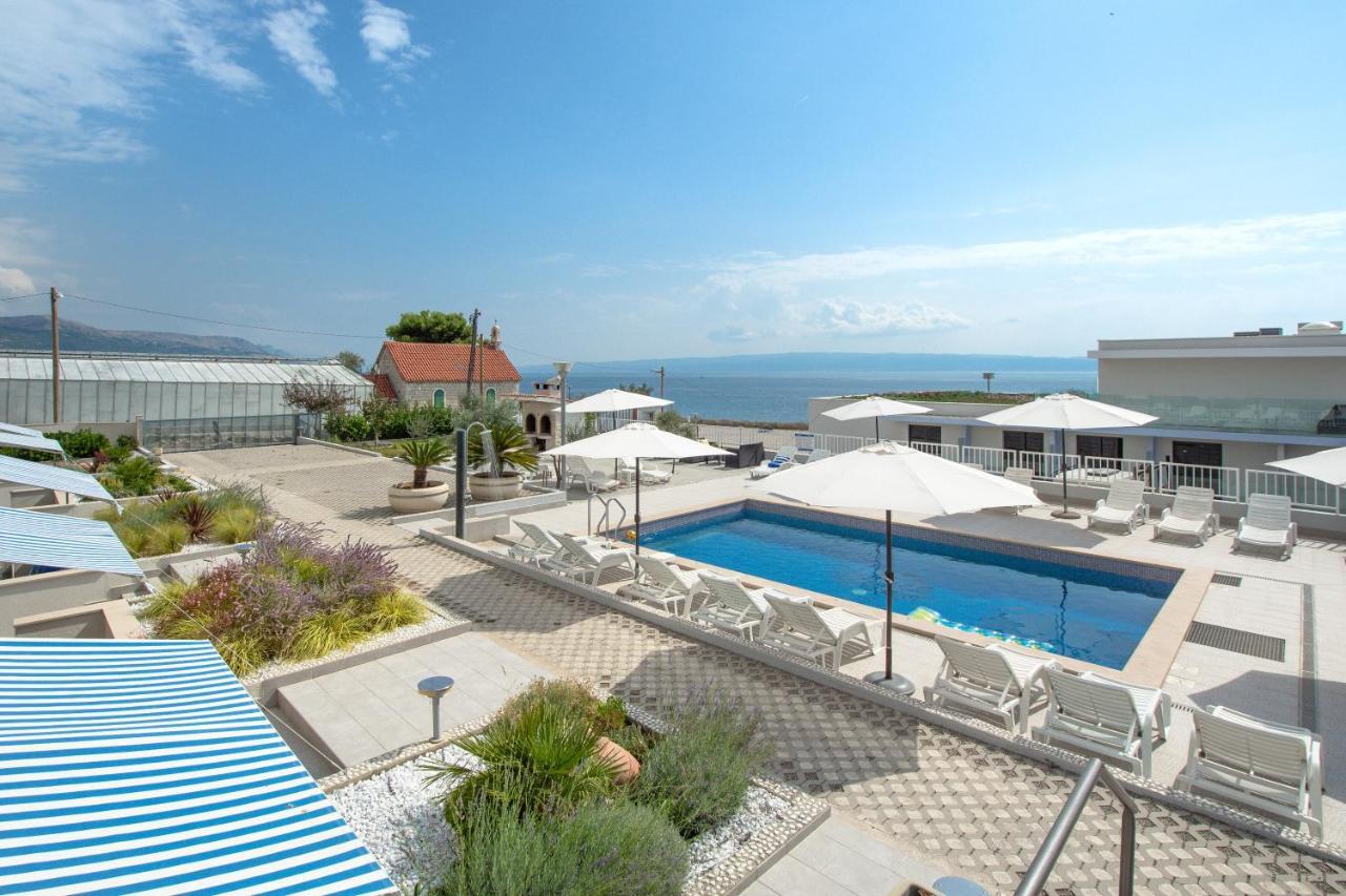 Kamelija Split